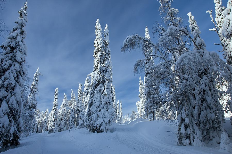 Путешествие по Финляндии зимой